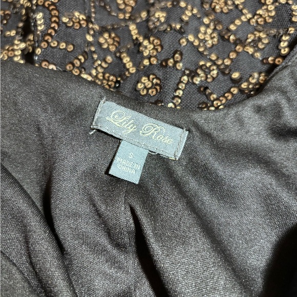 Lily Rose Sequence Dress - Picture 10 of 13